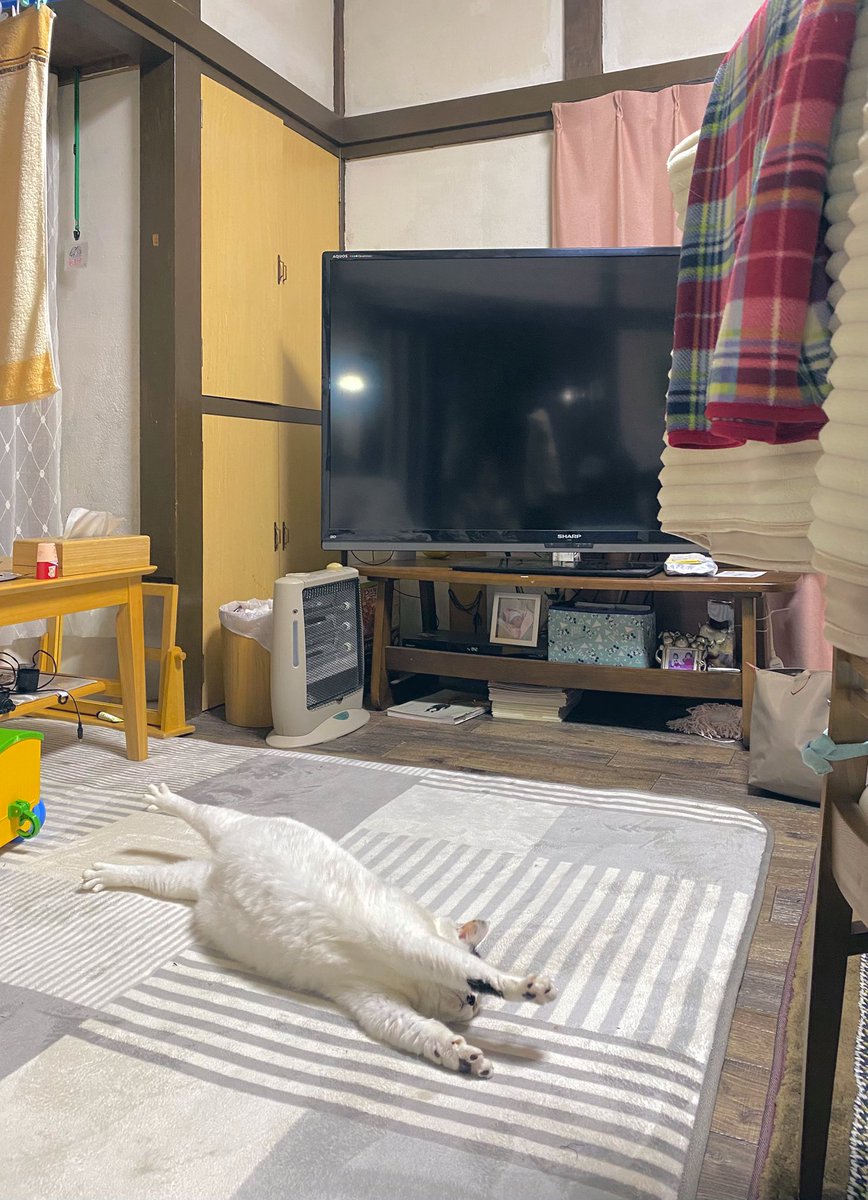 tsurukameryu's tweet image. 帰宅