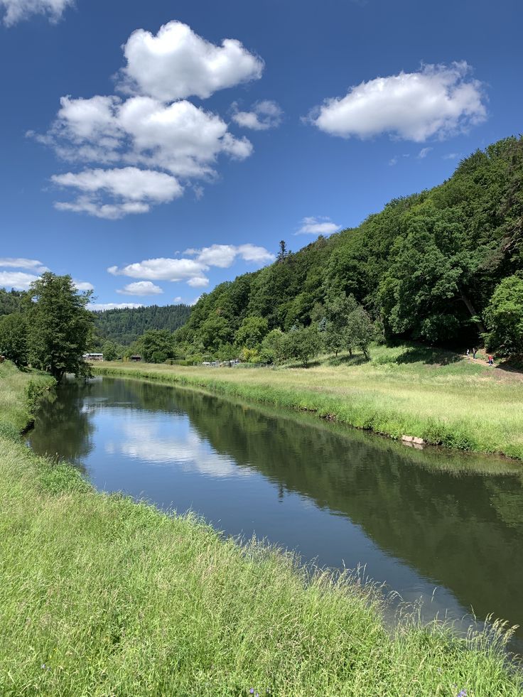 zooomingnature's tweet image. 