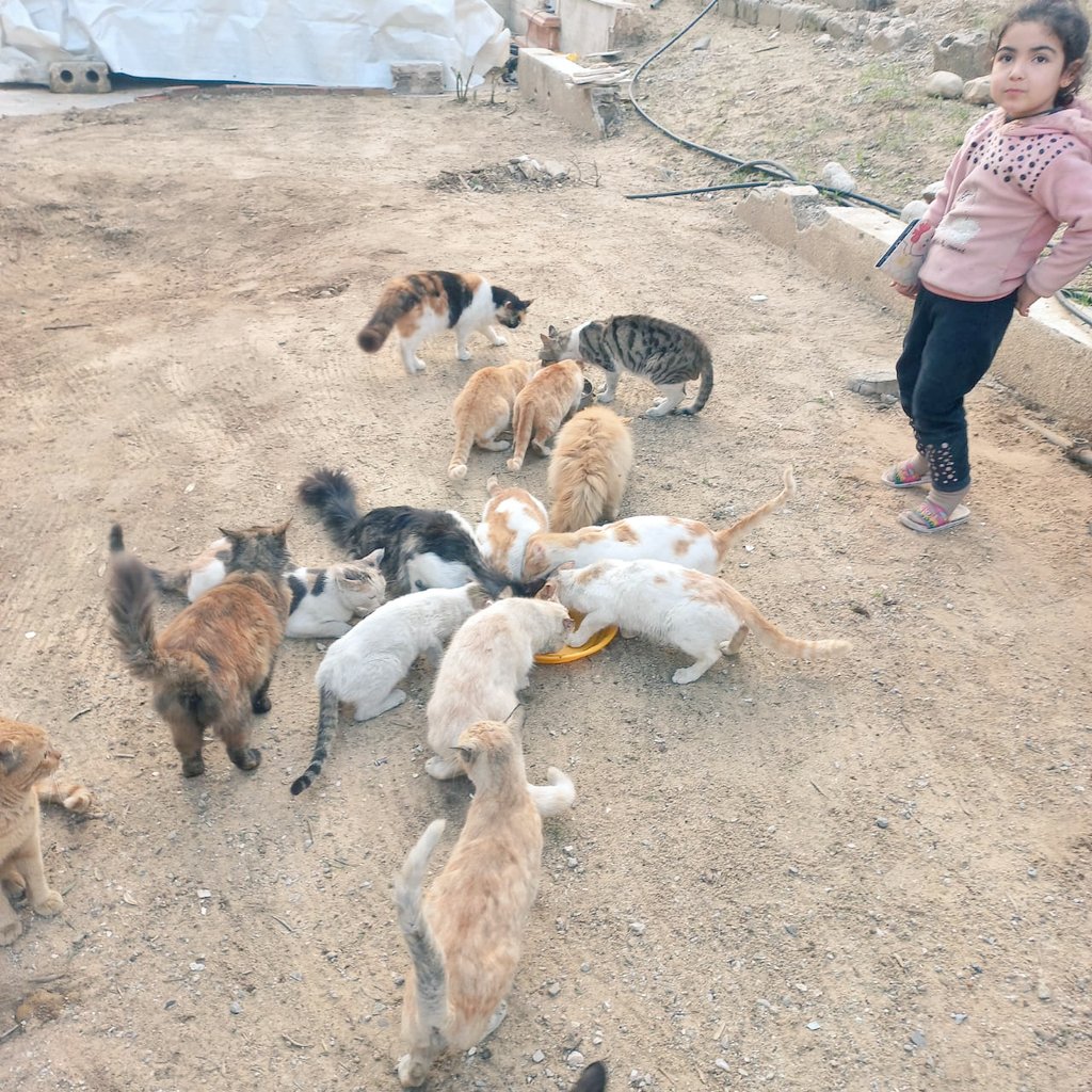 In the final days of this year, I feel as though I'm treading cautiously over what remains, as if the remaining days hold within them a long silence and questions for which I have yet to find answers. The year isn't over yet, but I feel it has already drained me of enough... It