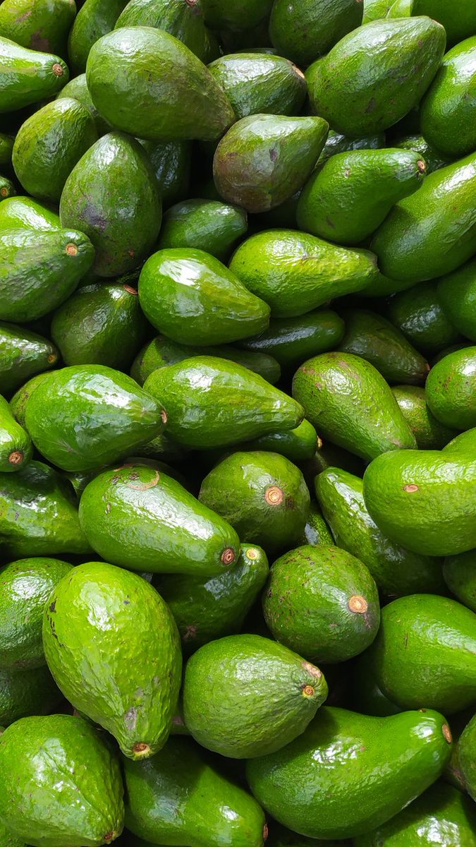 Sweet Nector tweet media