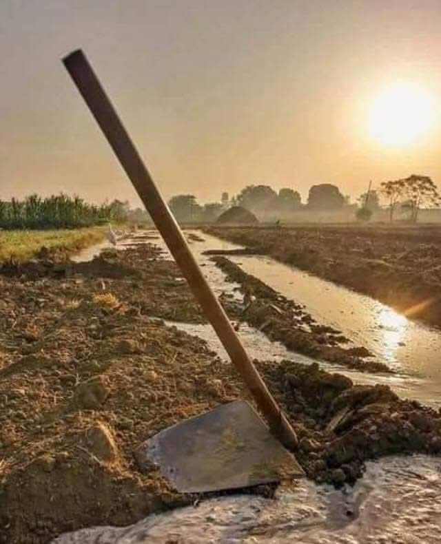 SukhveerHooda's tweet photo. आज का काम 👇🏾

समस्त #कंप्यूटर_अनुदेशक और IT भर्तियों के साथी कमर कस लो। आज शाम को पूरी सोशल मीडिया/पत्रकार/जन प्रतिनिधि को मालूम चल जाए 29 दिसम्बर धरने का उद्देश्य।

X ट्रेंड सूचना:

👉समय:- शाम 7 बजे से लगातार ट्रेंड।

#हैशटैग शाम को ही जारी होंगे, तैयार रहे। https://t.co/ZvUrXrtkKl