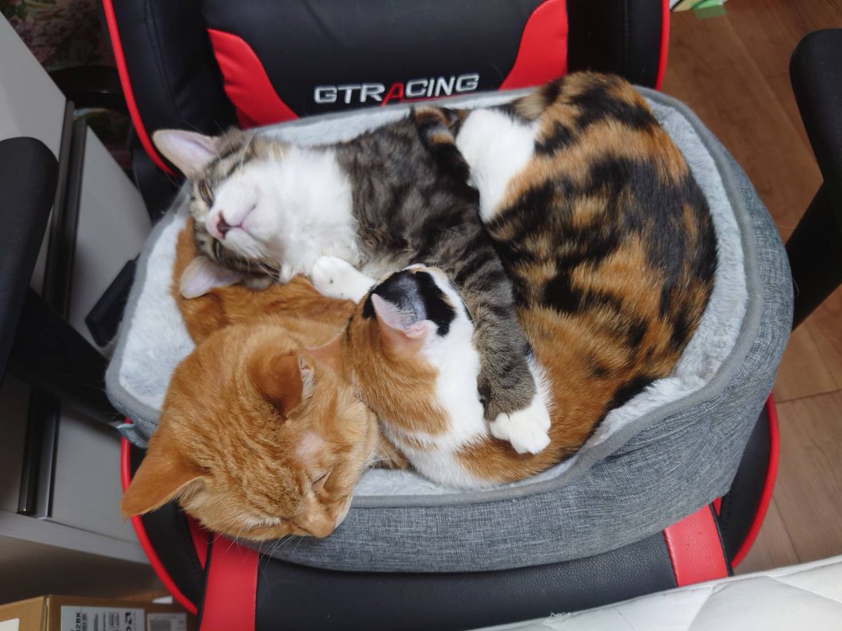 相模原市 #厚木市 #海老名市 本日、法人様より廃棄物の回収処分の御