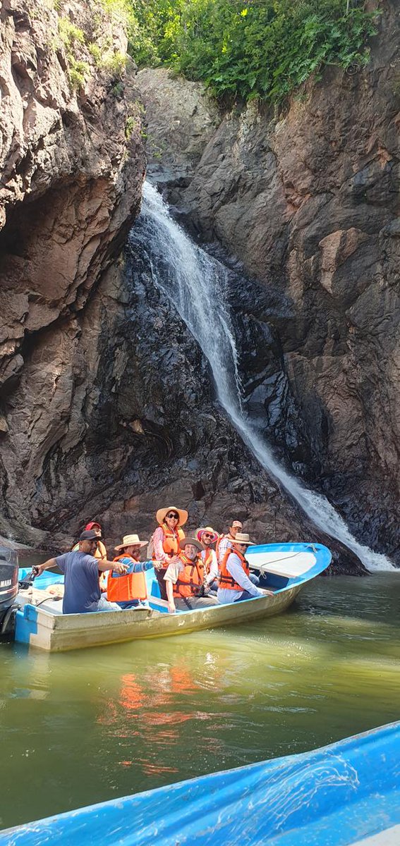 JoseOsio1168463's tweet photo. Real world utility of $DMTR. Dimitra + Fundación Biosfera de Álica: proving how blockchain + local leadership can drive real sustainable impact in Mexico. Indigenous communities: lead decisions. Verified carbon credits: transparent thru Dimitra tech. #DMTR #DMTRTeam #dimitratech https://t.co/z676nOz4hX