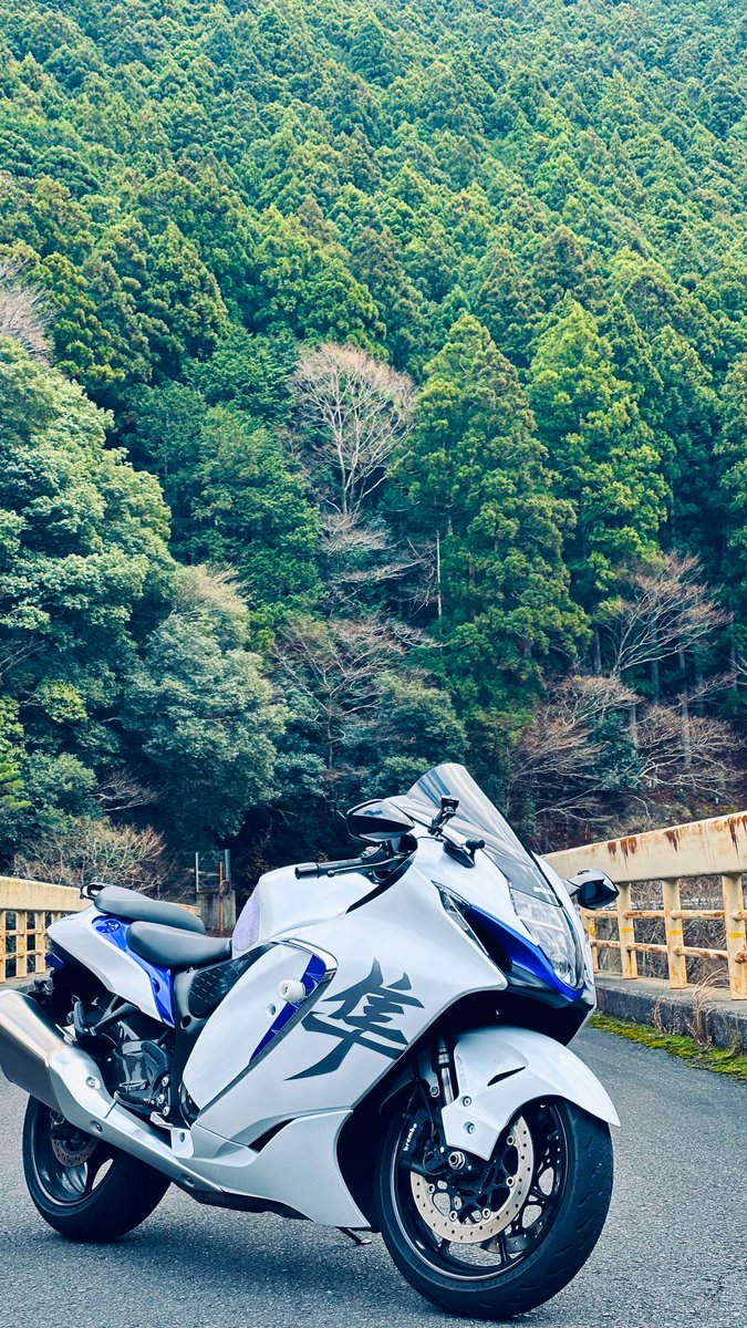 とらちゃん (@torachan675r1) / Posts / X