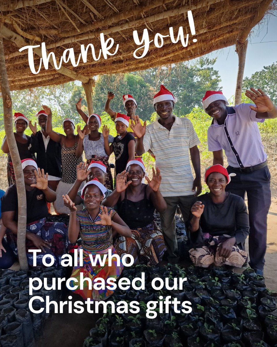 RIPPLEAfrica's tweet photo. Because of you, Christmas brought more than joy - it created lasting change in #Malawi! 🌍❤️

Your donations this Christmas helps communities thrive year-round, from clean water and cookstoves to schools and fruit trees, leaving a legacy of hope and opportunity. 🌱💫

Thank you! https://t.co/P8nNWEHQiX