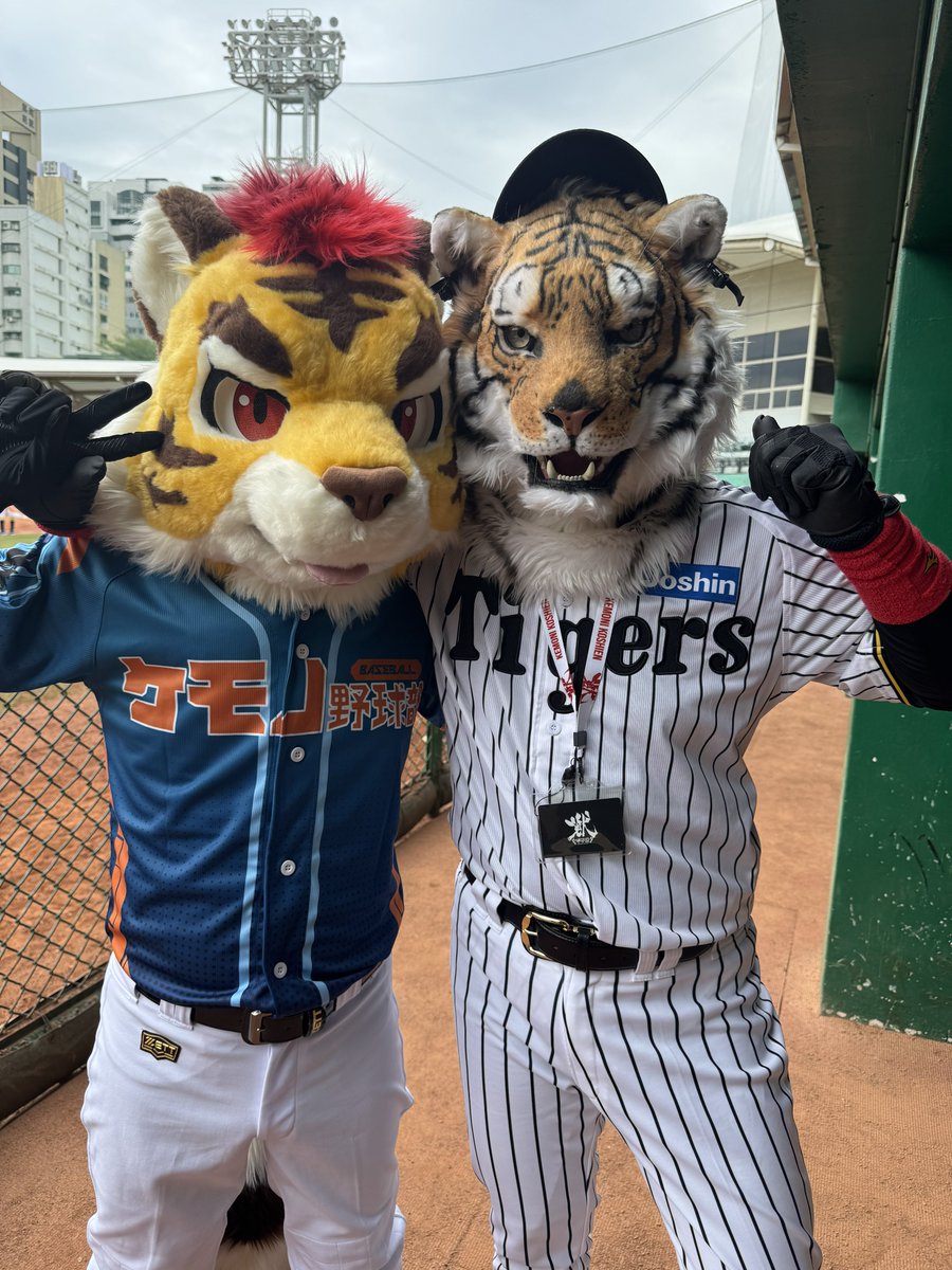 虎之介🔜獣・甲子園 (@torano_suke) / Posts / X