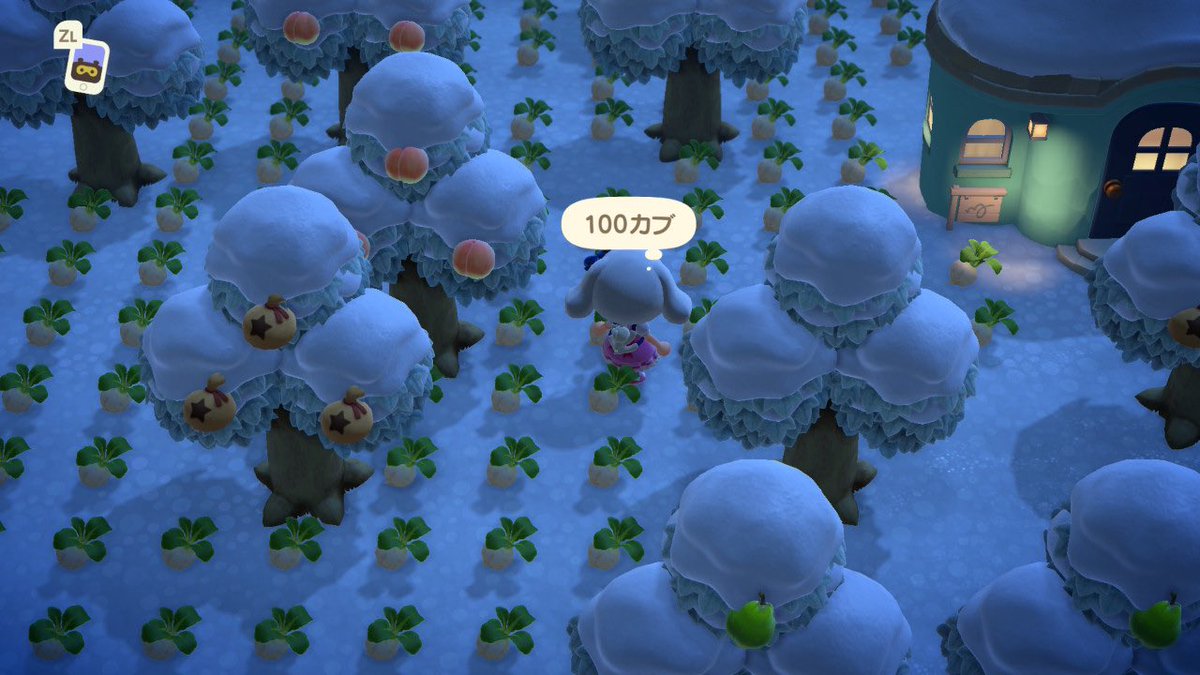 Post by 🐟👾よっぴ〜👾🐟 on X: カブやばい😭