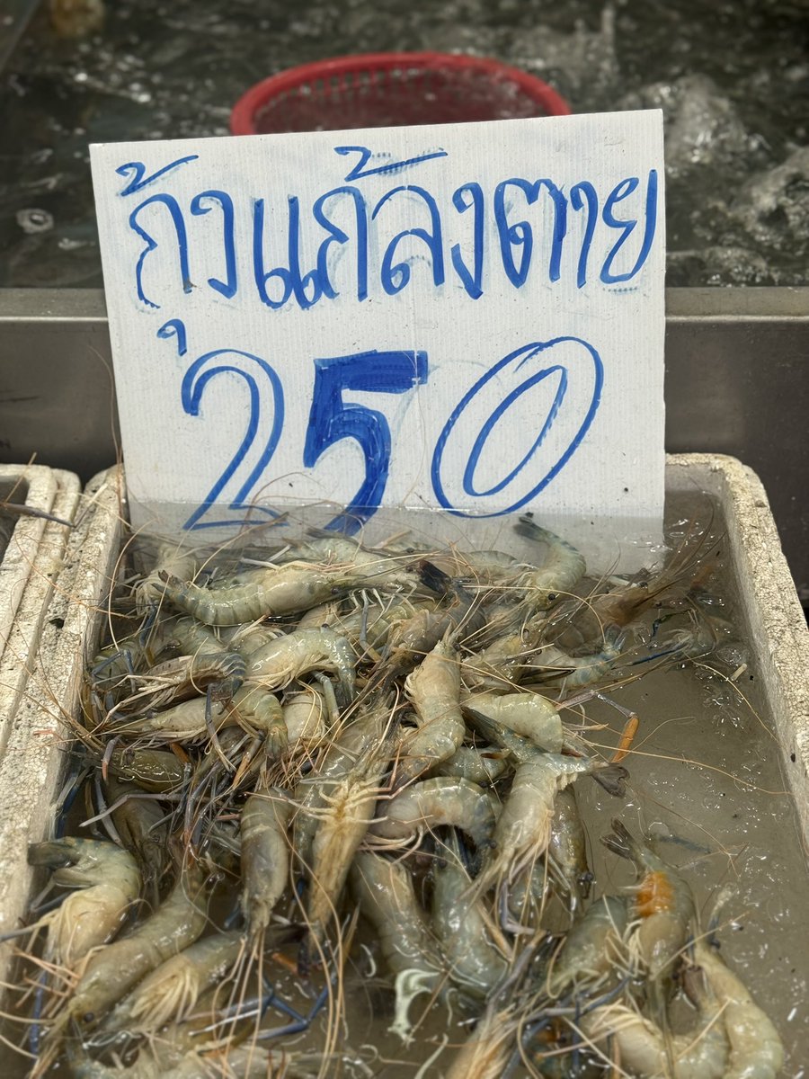 askforthxmoon's tweet image. สรุปแค่แกล้งตาย