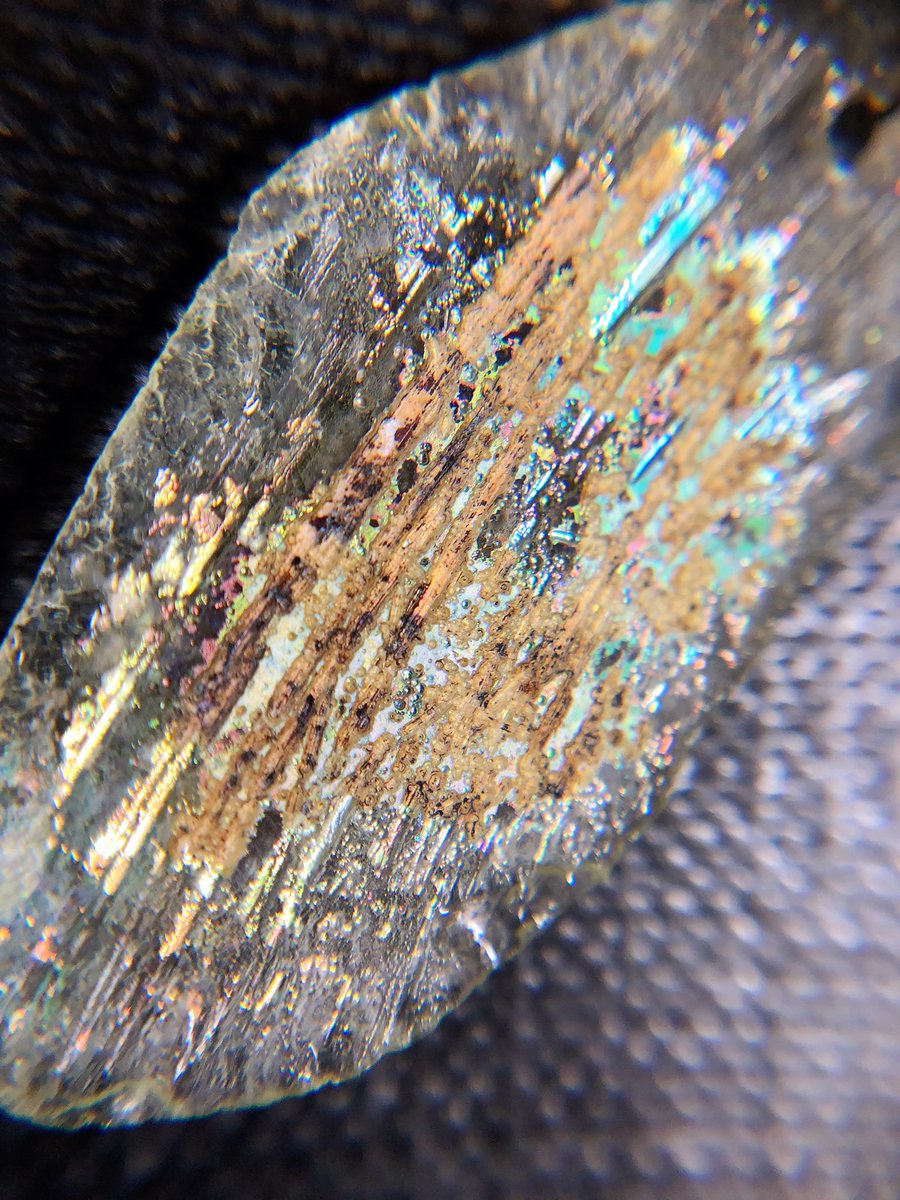 Eva Wan |LUX tweet media