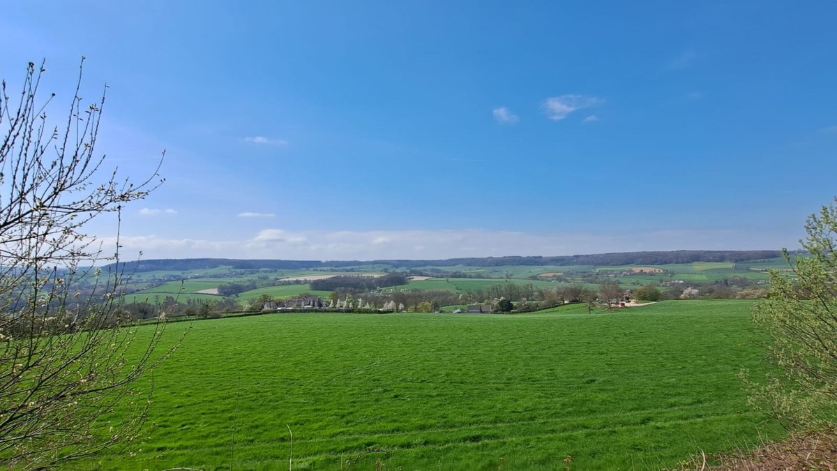 Eijsden-Margraten wil natuur rechten geven, maar stuit op juridische grenzen
v-dg.nl/1-8eWx8JUB