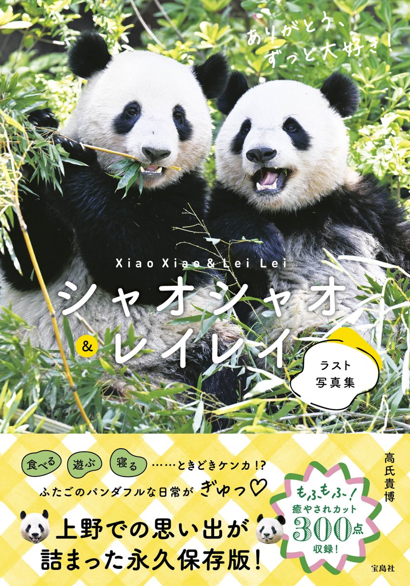 紀伊民報連載　ありがとうパンダ ありがとう パンダファミリー！ラスト「パンダダイアリー 2000ｰ2025