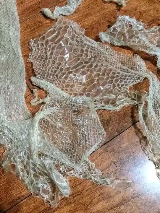 Nyaburinyauma's tweet image. Every time I clean the house, I find these under the bed. What can it be?