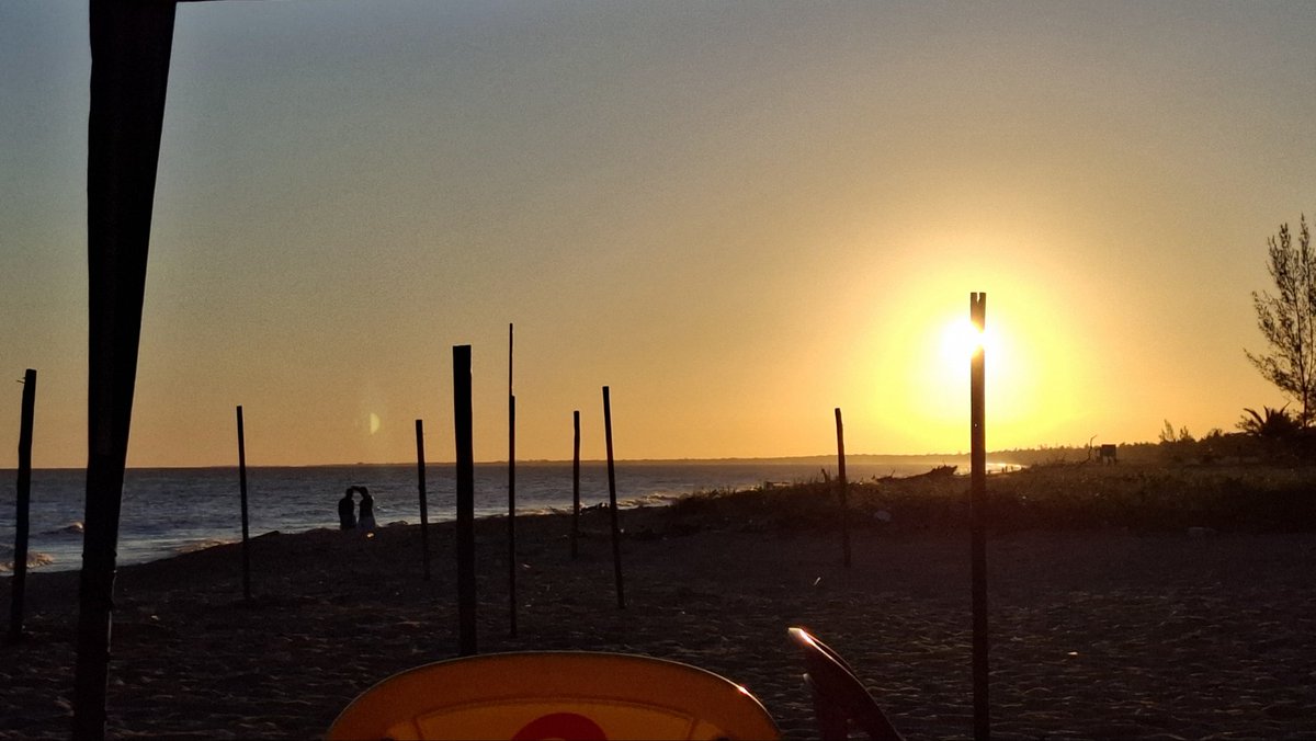 allowsae's tweet image. Nova viçosa - BA