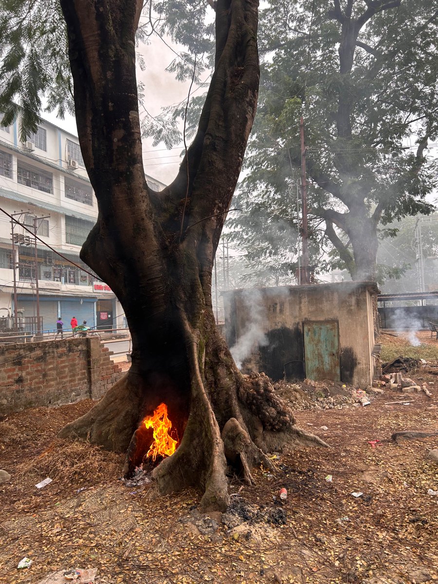 BJP4KisanM's tweet photo. Joining the rest of the nation for Atal Smriti Varsh, the BJP Kisan Morcha Nagaland, on this day, the 27th Dec,2025,conducted 3hours long cleanliness drive at the Dimapur Municipal Council (DMC) and IDAN Office campus, Dimapur @BJP4Nagaland
 @YepthomiBen
 @kmshambhu
 @PMGhoshNL https://t.co/senKWLCz2T