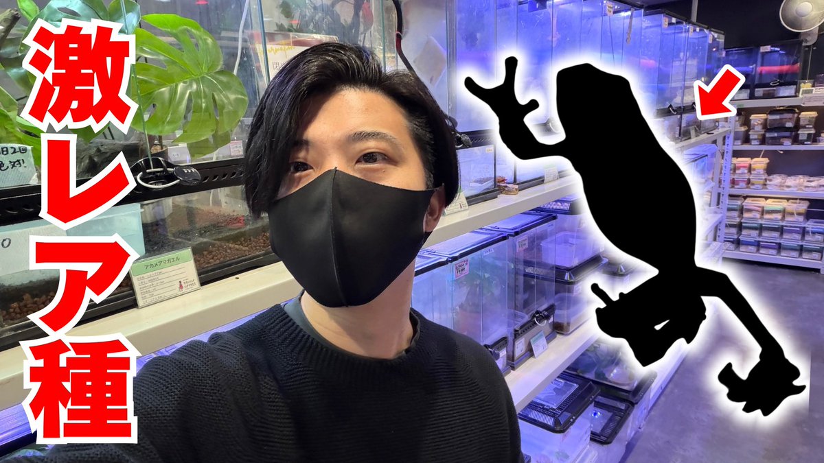 ▼YouTube更新

超高額、激レアカエルが入荷したので見て来ました！
youtu.be/u-c2Ry1OAa0

フォロー＆RPでRAFchステッカー当たります🎯
本日も宜しくお願いします！