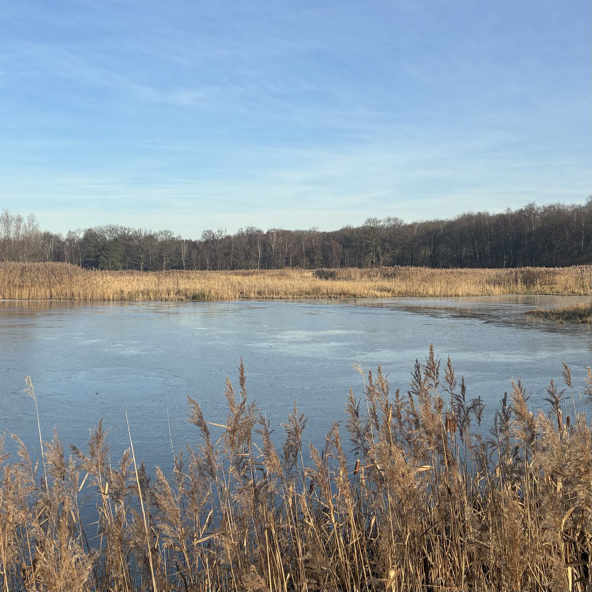 Ma®️ty tweet media