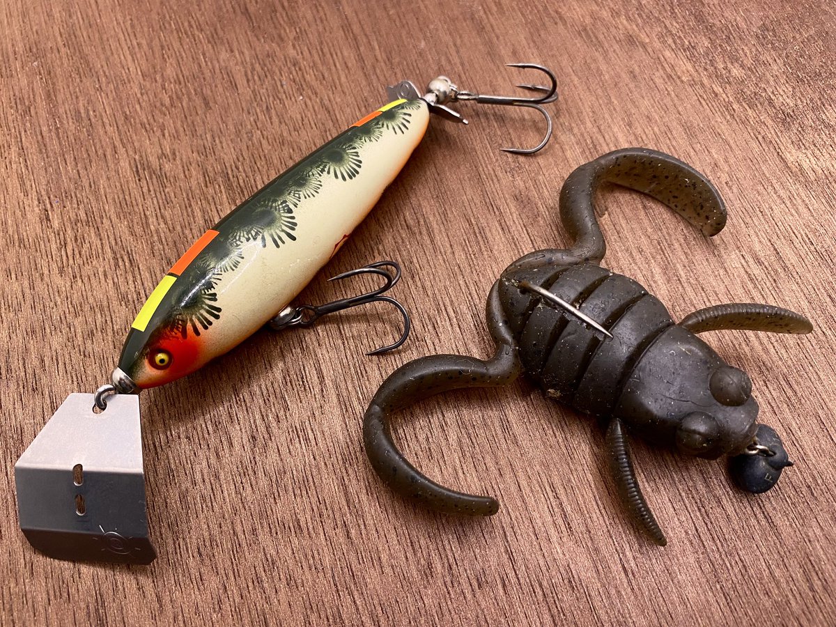 痴虫　チムシ　ザムザ 痴虫 チムシ ザムザ