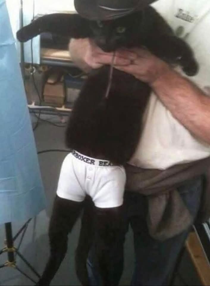 itimaliasof's tweet image. 