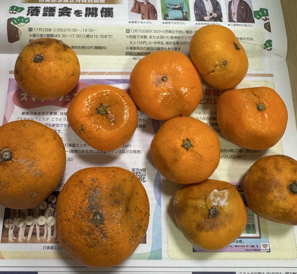 みかん☆さま確認ページ♡ みかん