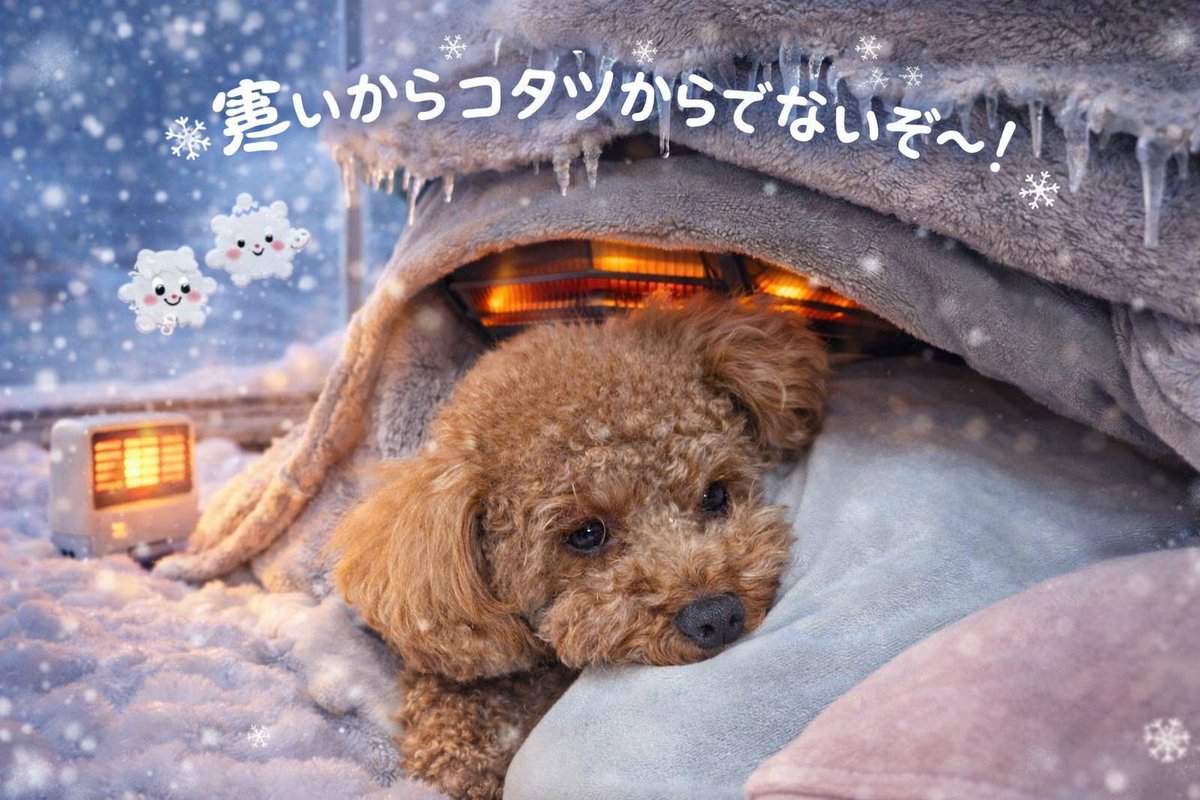 本日のワンショット🐶
🐾さむさむ🐾

今日は朝からず～っと寒くて辛いです🫨🫨🫨

この子からもそんな感じが伝わってきます🤣

風邪ひかないように気を付けて過ごしましょう😆

でちゅ～～～🐶💕💕💕
#トイプー
#犬好きさんと繋がりたい
#AIイラスト