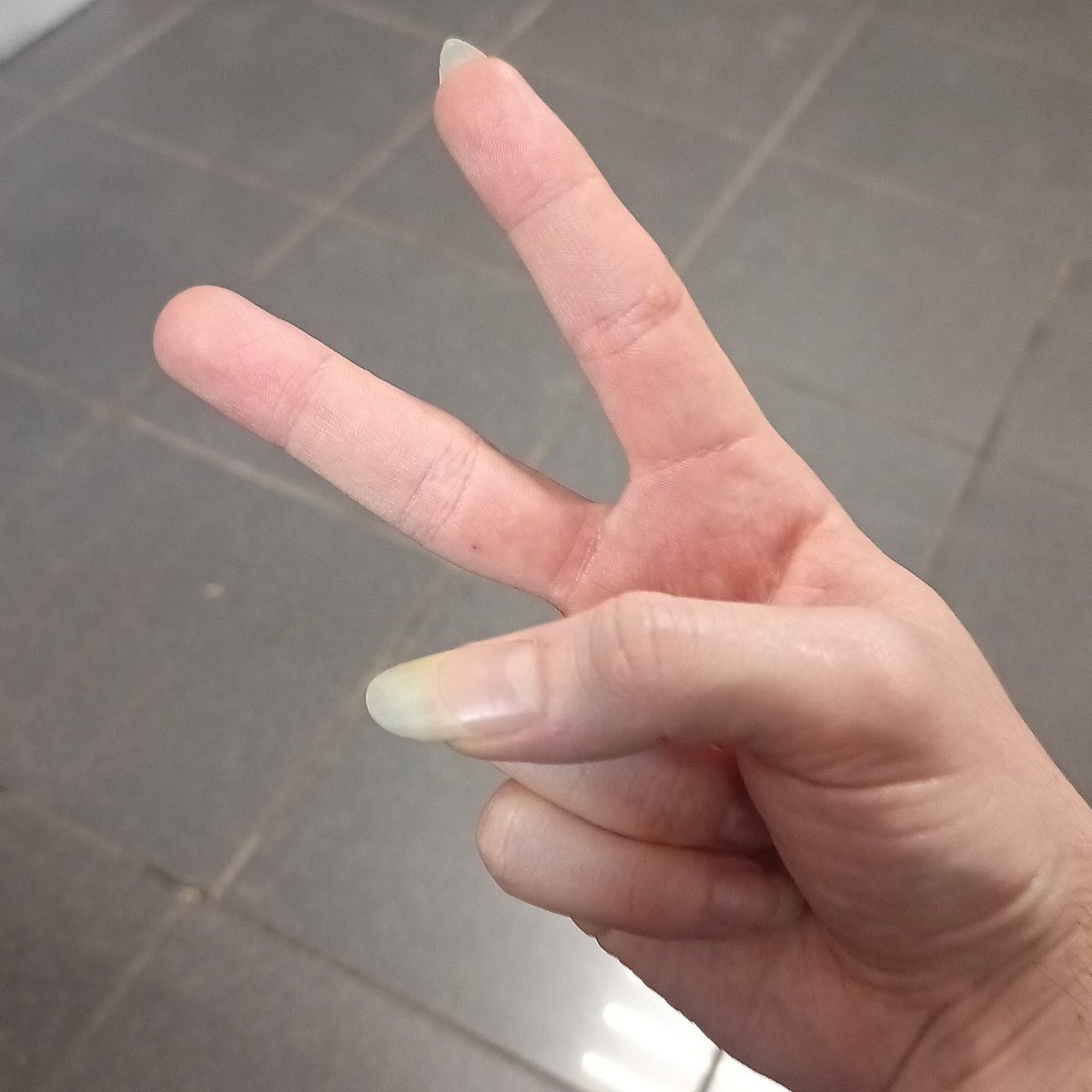 Pickle King 🇨🇺 tweet media