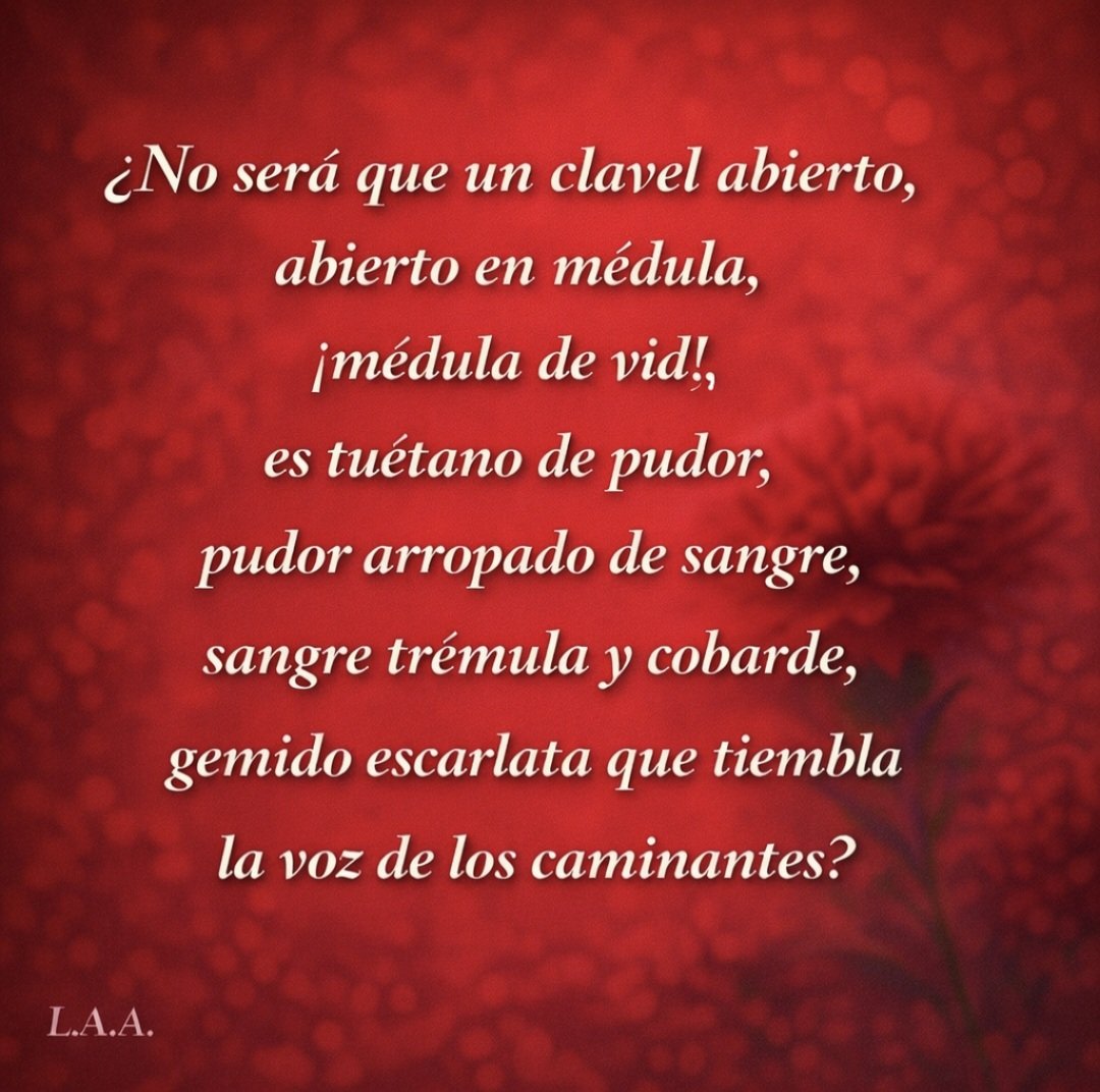 Lucía Alba (@luciaalbalc) on Twitter photo 