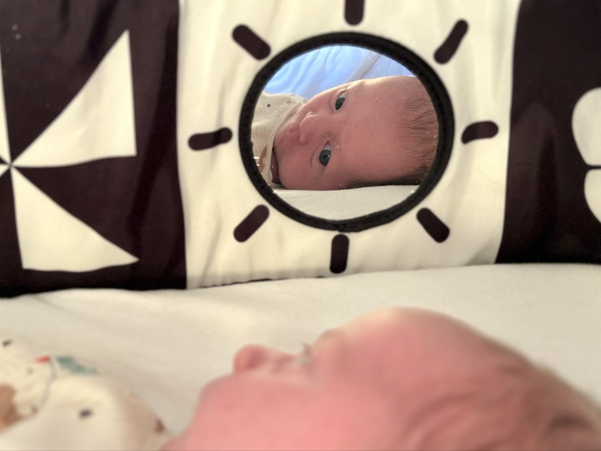 high stride society tweet media