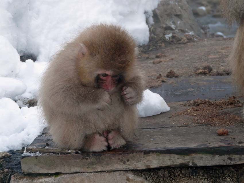 I love my family I love my friends I love my coworkers I love all the trees I love the people that smile and say hi to me when I'm on a walk I love saying thank you to the bus drivers I love people who wish me a good day I love the out of the blue but intentional compliments I lo