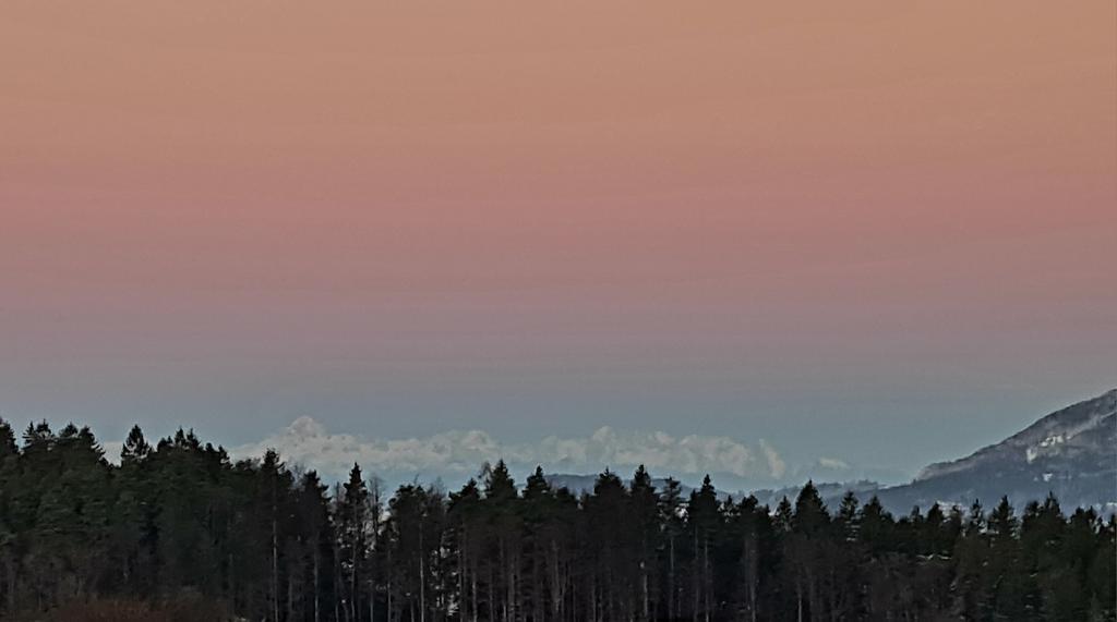 Slovenec_sem7's tweet image. Mir in dobro, Slovenija!