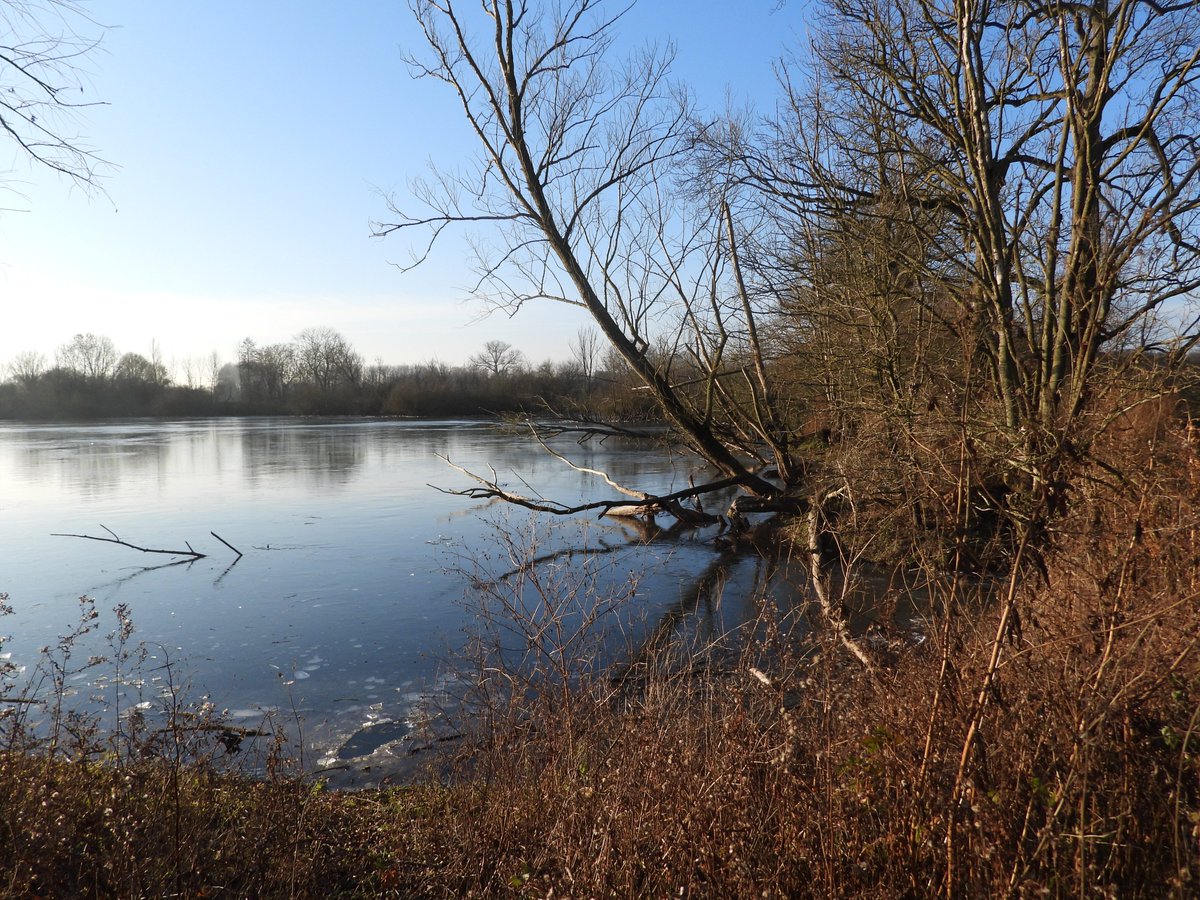 Goedemorgen op deze nog donkere zaterdag. Wens jullie een fijne dag. Even bijkomen van al dat eten en familie of gewoon even niksen...De Bever heeft een gat in het ijs gemaakt en is verdwenen. Pluk de dag...en  sterkte voor  die het zo nodig hebben, speciaal in deze dagen...🙏