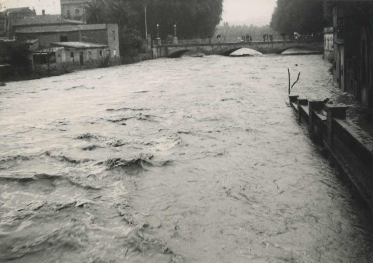 Carles P tweet media