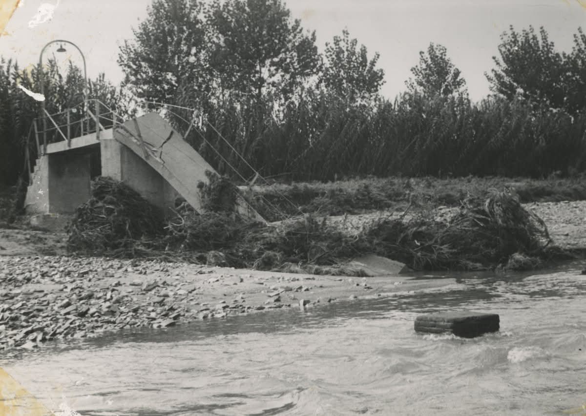 Carles P tweet media