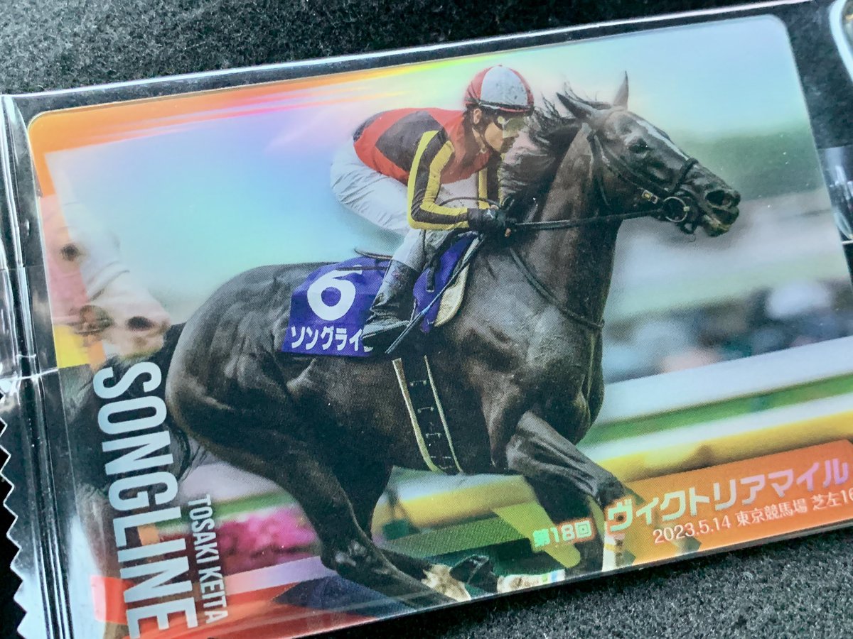 追加購入 ソングライン号 【戸崎圭太騎手】