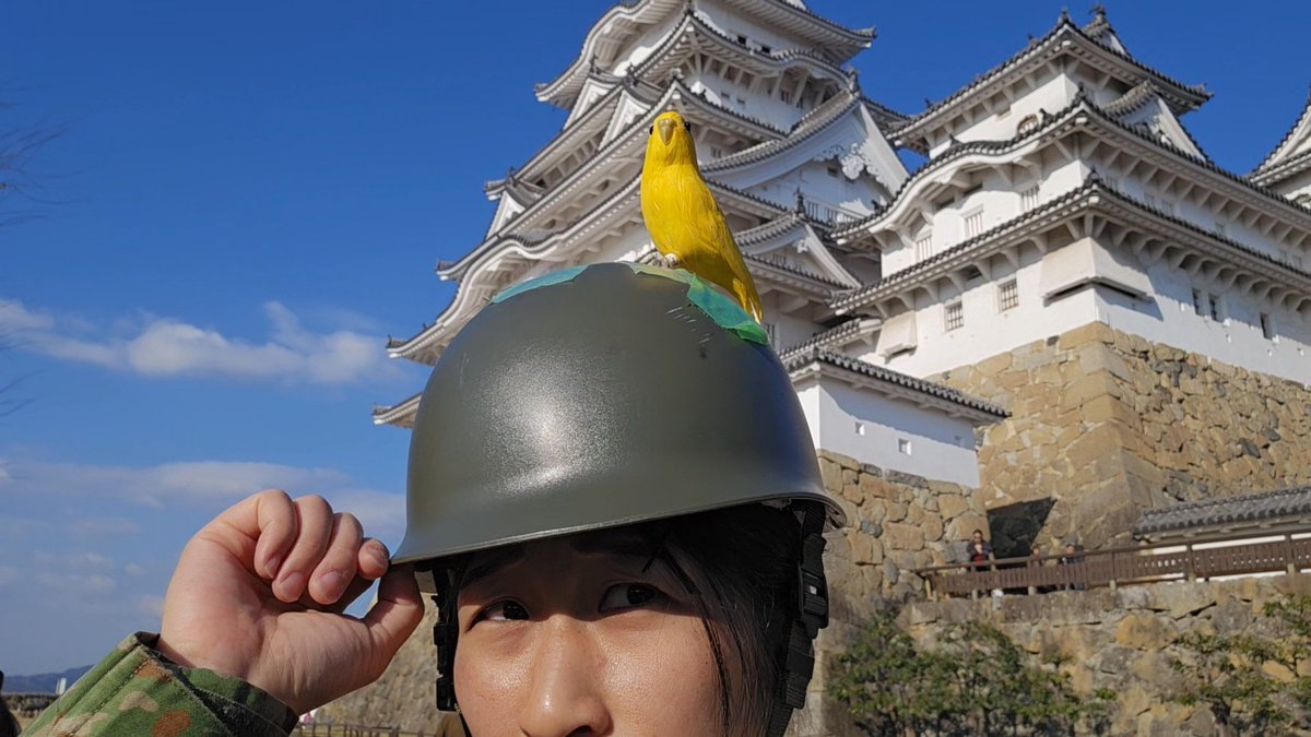 ちっぴぃちゃんズ (@gZt6UyrrgVGk9Zj) / Posts / X