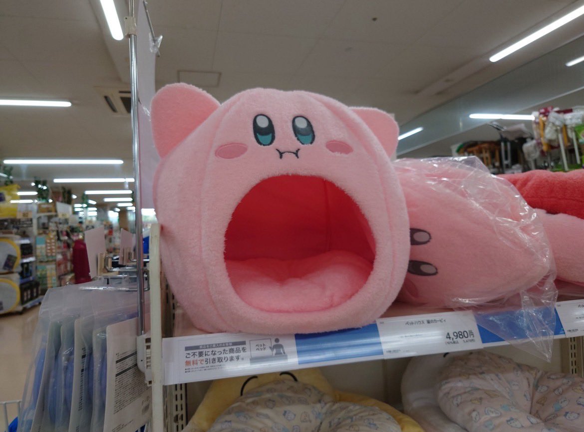 Post by 月代ゆうか(聖園みかん) on X: 口www