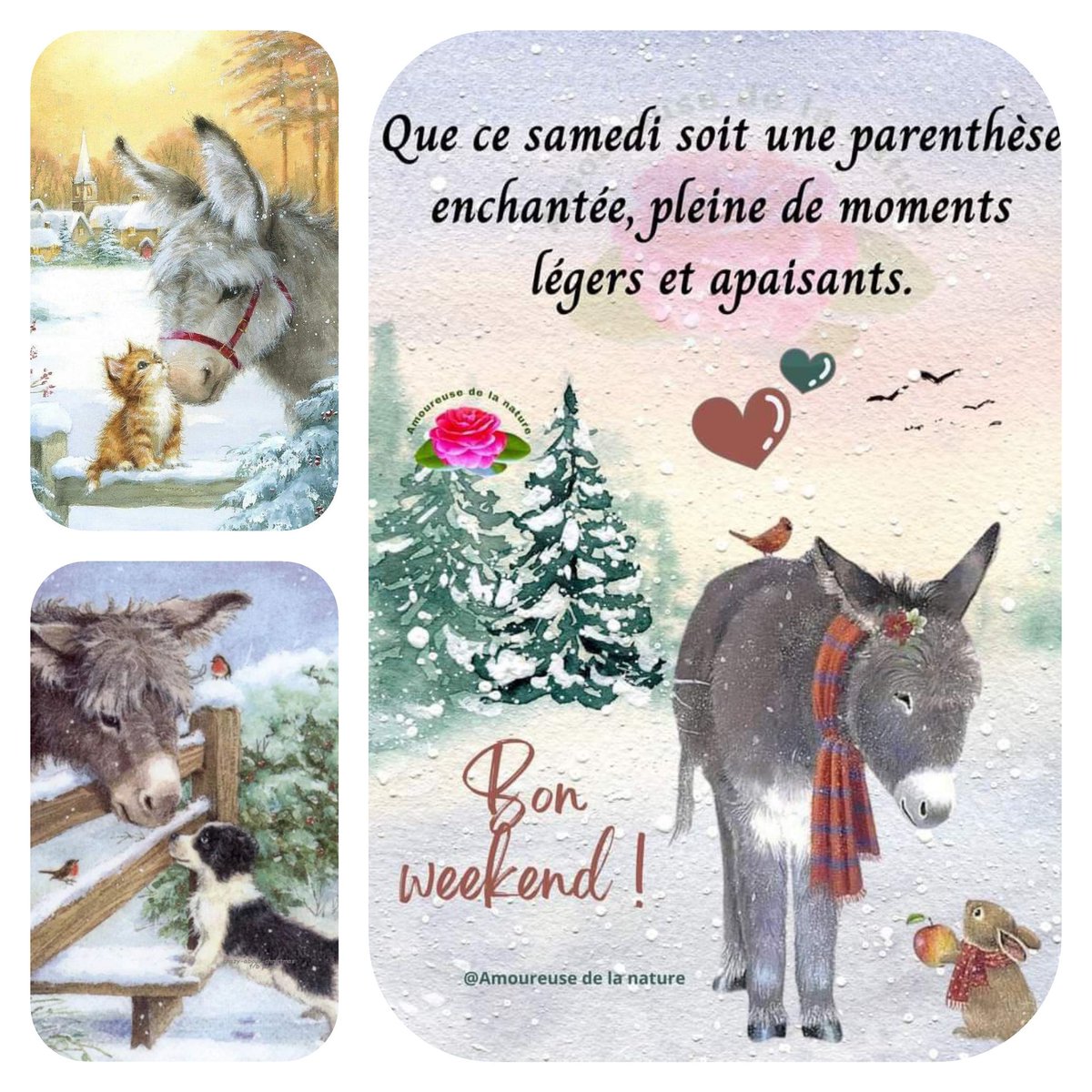 JosetteJ1's tweet image. Que ce dernier #Samedi de l'année 2025, soit une parenthèse enchantée, pleine de moments légers et apaisants 💚🧡💜💙
#weekend 
#espérance
#Ligue_des_optimistes