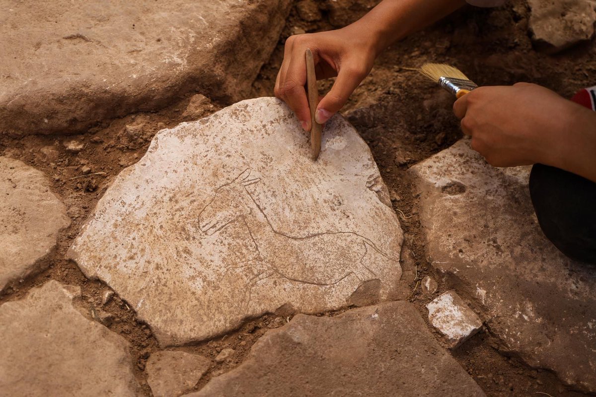 MehmetNuriErsoy's tweet photo. 2025’te kültür, sanat ve turizm alanında sadece çalışmadık, iz bıraktik. 1 yıl böyle geçti…

🏛️ Kültür Varlıkları ve Müzeler Genel Müdürlüğü @kvmgm

2025’te müzelerimiz ve örenyerlerimizde ziyaretçi deneyimini güçlendiren, kültürel mirası görünür kılan adımlar attık.

🏺 Geleceğe Miras Projesi kapsamında, arkeolojinin altın çağını yansıtan eserleri ilk kez kamuoyuyla buluşturduk; yüzlerce eser sergiyle ziyaretçilerin karşısına çıktı.

2025’te Kazılardan Öne Çıkan En Dikkat Çekici 🔟  Buluntu

🗿 Amastris (Bartın): Yunan mitolojisinin ender örneklerinden, gülümseyen Medusa figürü gün yüzüne çıkarıldı.
🏺 Tavşanlı Höyük (Kütahya): 4.500 yıllık Tunç Çağı idolleri Batı Anadolu’nun erken yerleşim tarihine ışık tuttu.
🔥 Efes (İzmir): Üzerinde Mısır tanrısı Serapis kabartması bulunan pişmiş toprak tütsü kabı bulundu.
💍 Troya (Çanakkale): 4.500 yıllık altın halkalı broş ve nadir bir yeşim taşı keşfedildi.
🍞 Topraktepe / Eirenopolis (Karaman): Üzerinde yazıt ve Hz. İsa tasviri bulunan 1.300 yıllık ekmek, erken Hristiyanlık dönemine dair benzersiz bir buluntu sundu.
🗿 Kibyra (Burdur): Roma İmparatoru Hadrianus’un 2,20 metrelik zırhlı mermer heykeli ortaya çıkarıldı.
⚓ Datça Batığı (Muğla): 17. yüzyıl Osmanlı batığında silahlar, Çin porselenleri ve günlük yaşam eşyaları bulundu.
💎 Amos (Muğla): Yeni Asur Dönemi’ne ait, tanrıça İştar betimli gümüş kolye keşfedildi.
🪨 Taş Tepeler (Şanlıurfa): Çanak Çömleksiz Neolitik Dönem’e ait insan yüzlü dikilitaşlar, heykeller ve ritüel bulgular elde edildi.
🏺 Kevenli Kalesi (Van): Urartu dönemine ait çivi yazılı 76 pithos (küp) gün yüzüne çıkarıldı.

Kültür, sanat ve turizmi güçlendiren adımlarla #TürkiyeYüzyılı’nı birlikte inşa ediyoruz. 🇹🇷