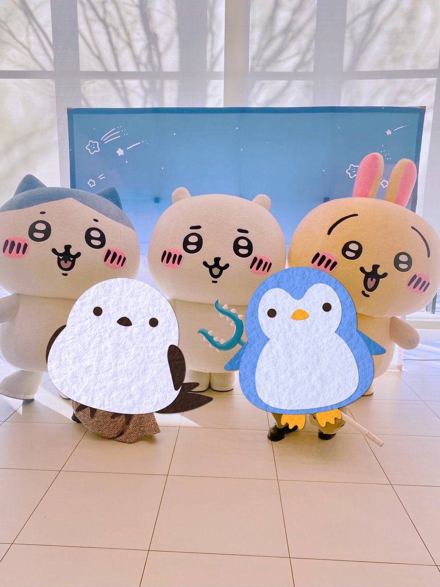 ⓡⓘⓡⓘ@ちい活 (@riri_chii33) / Posts / X