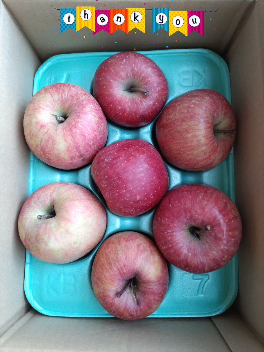 Headwolf-JP (@headwolfjapan) / Posts / X