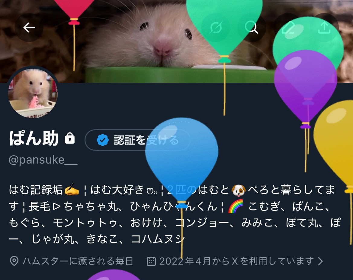 pansuke__'s tweet photo. こっそり本日誕生日を迎えました🎂

私に最高の誕生日プレゼントをください！！！
みんなの可愛い愛ハムちゃんたちの写真を！！！！！
最高の誕生日にしてくださぁぁぁい！！！！！
愛ハムちゃんだけじゃなくてわんちゃん、ねこちゃん、ねじゅみちゃん大歓迎💕︎ https://t.co/X8Gtuc017p