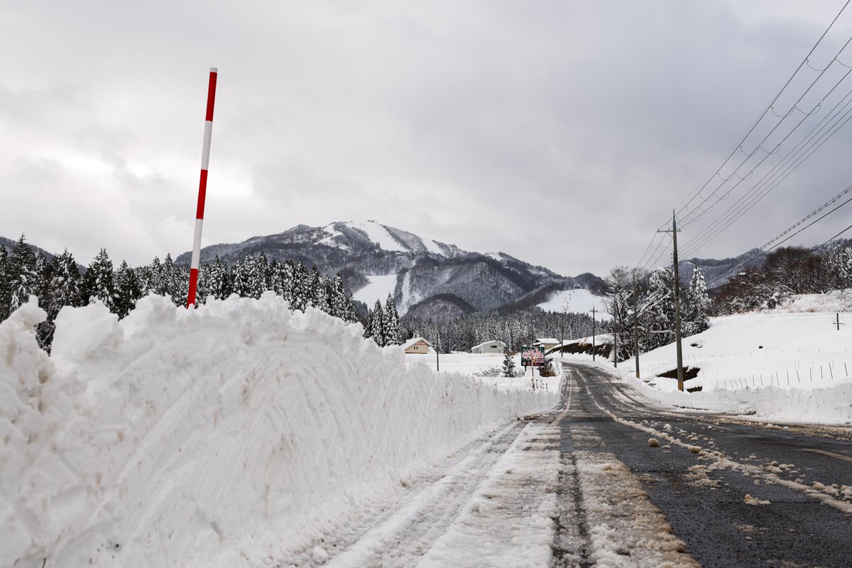 螢雪楼結灯@ハムちゃん法典 螢雪楼 結灯@ハムちゃん法典 Amazon | スマートフォン向けアプリ『Link