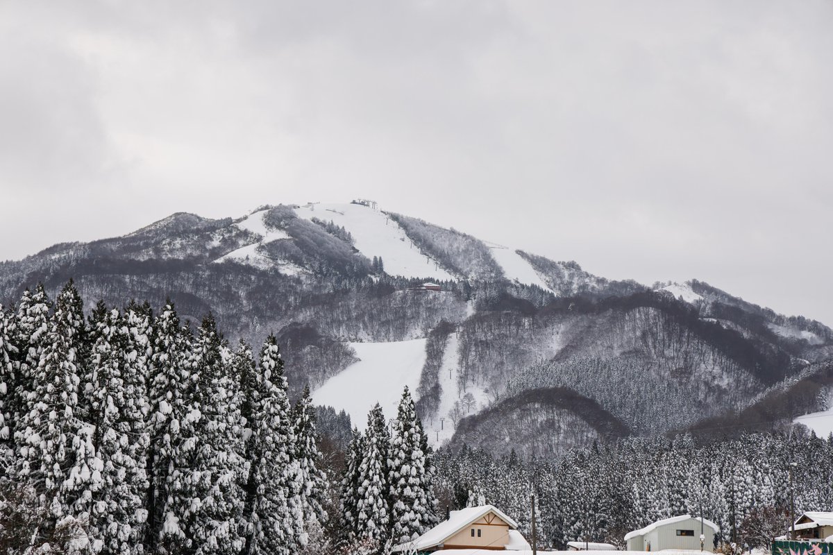 丸雪 本日のハチ北は積雪約70cm❄️ ゲレンデ一面がしっかり雪に覆われ、冬