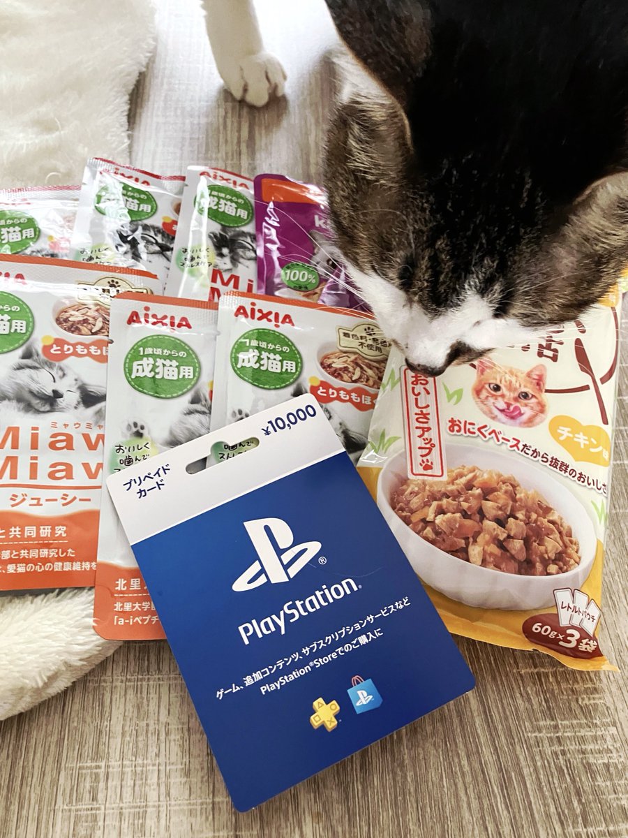 無事に仕事納め完了！

今年の年末は飼い猫が体調崩して、心配の連続だったけど…
なんとか皆で元気に新年を迎えられそうで、本当に良かった！(職場の人に快気祝いも貰った🫶)

一年頑張ったご褒美に、セブンイレブンでPS Storeカードを購入。
これでお正月もゲーム漬け決定🎶🎮