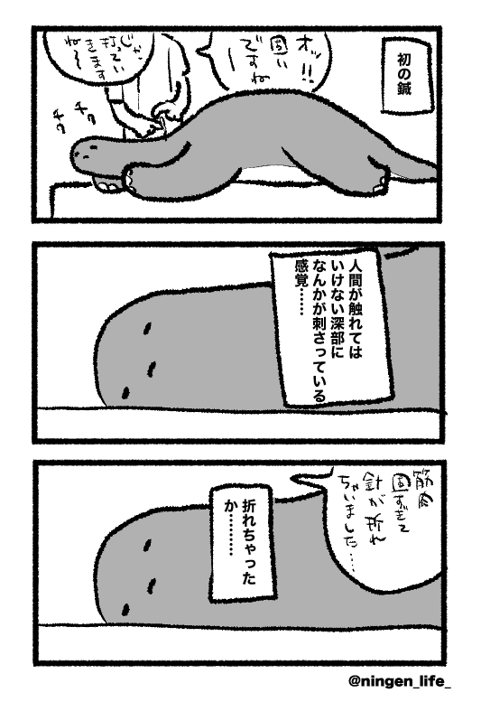 日記 