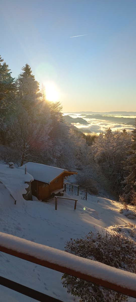 pikapoka_jelen's tweet image. Dobro mrzlo jutro Slovenija.❤️