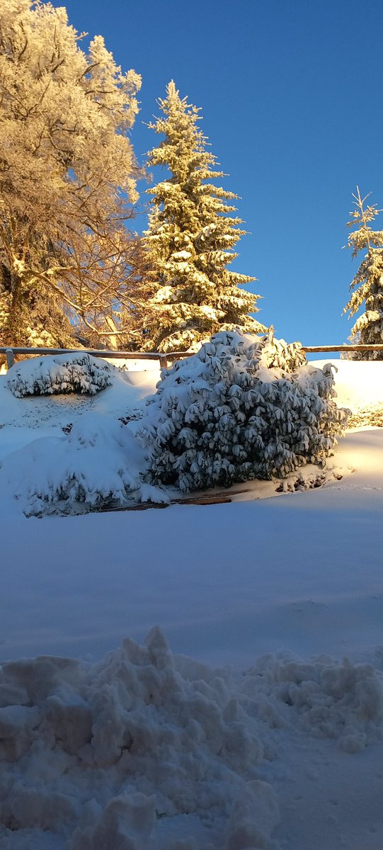 pikapoka_jelen's tweet image. Dobro mrzlo jutro Slovenija.❤️