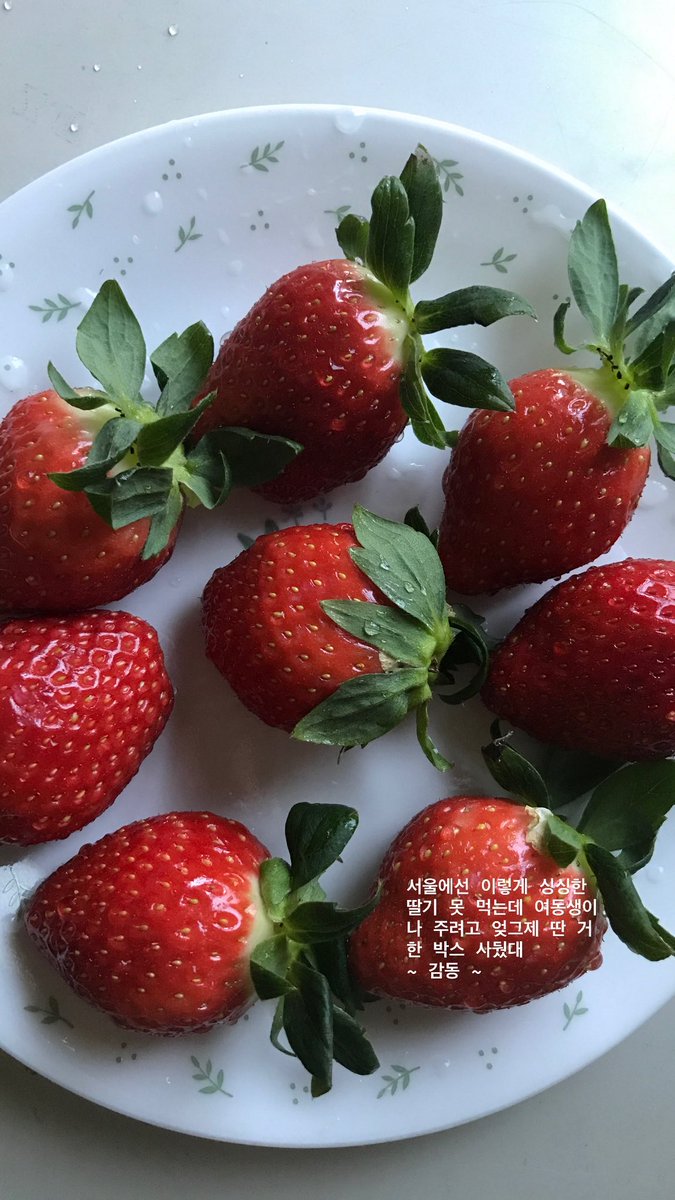 최고의 딸기