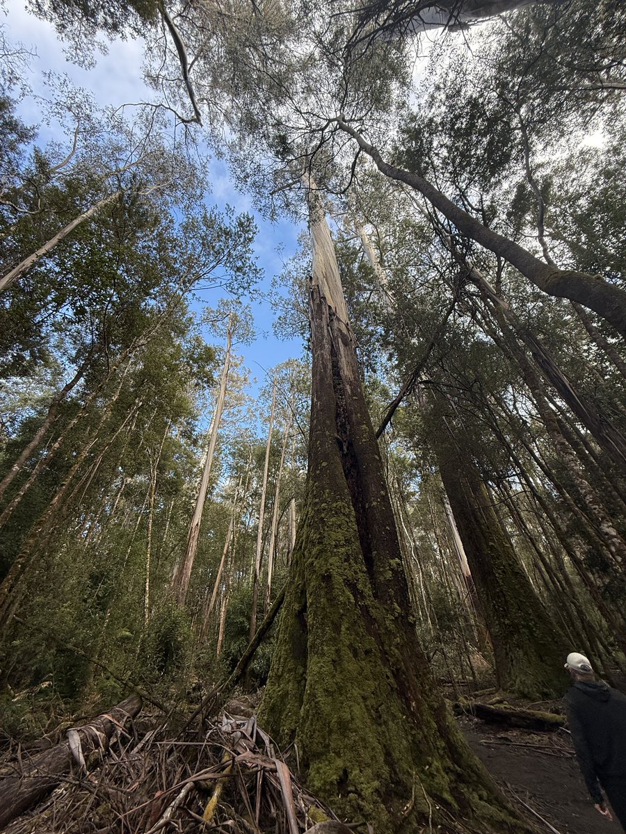 Tam (@Tam38258811) / Posts / X