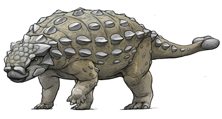 satoshikawasaki's tweet photo. 今日の古生物

アカイナケファルス（Akainacephalus）

おおよそ７６００万年前、
北アメリカ西部（ララミディア大陸）に生息した
ヨロイ竜アンキロサウルスの仲間。
北アメリカ産だが、アジアのアンキロサウルスの仲間に
近縁と言われている。

２００８年に化石が発見され、
２０１８年に新属新種の恐竜として発表された。