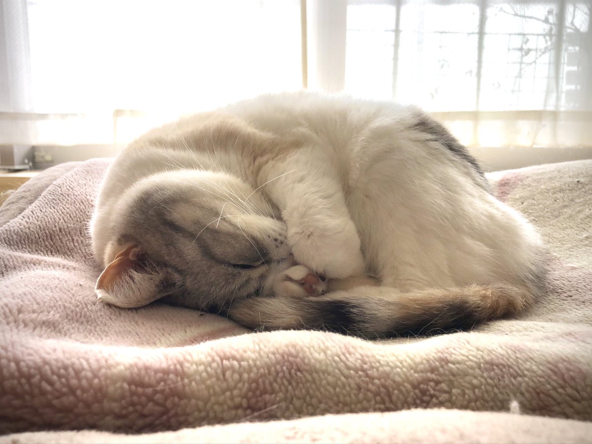 今日はゆっくりかな